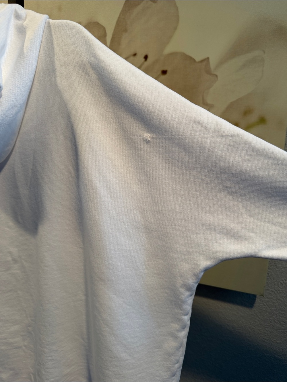 Frank & Eileen Kane Capelet Hoodie in White - Picture 11 of 12